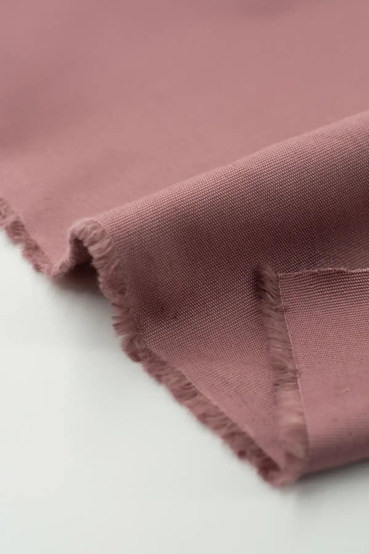 Canvas indore nostalgia rose