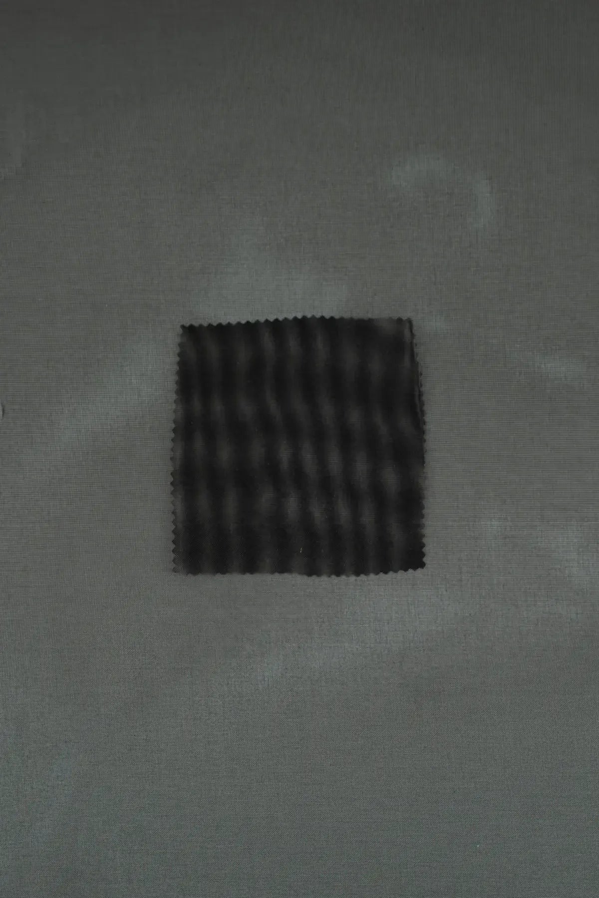 Organdie nos anthracite