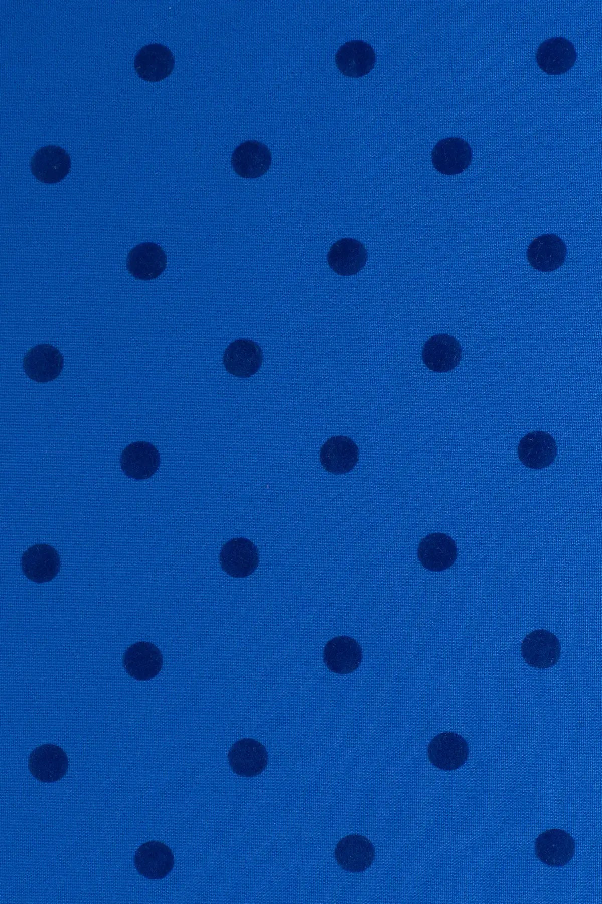 Strech alameda classic blue