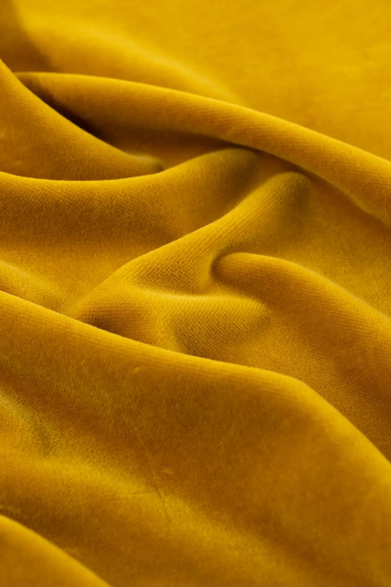 Terciopelo aalto nugget
