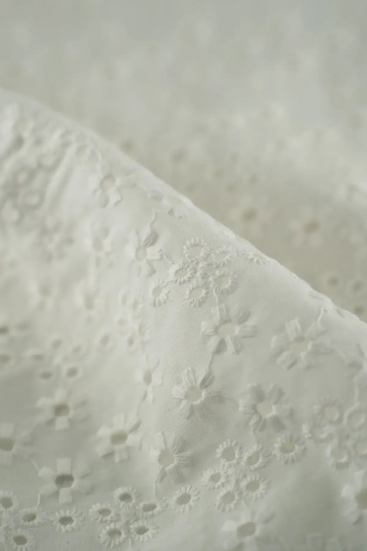 Perforado hinojales blanc de blanc