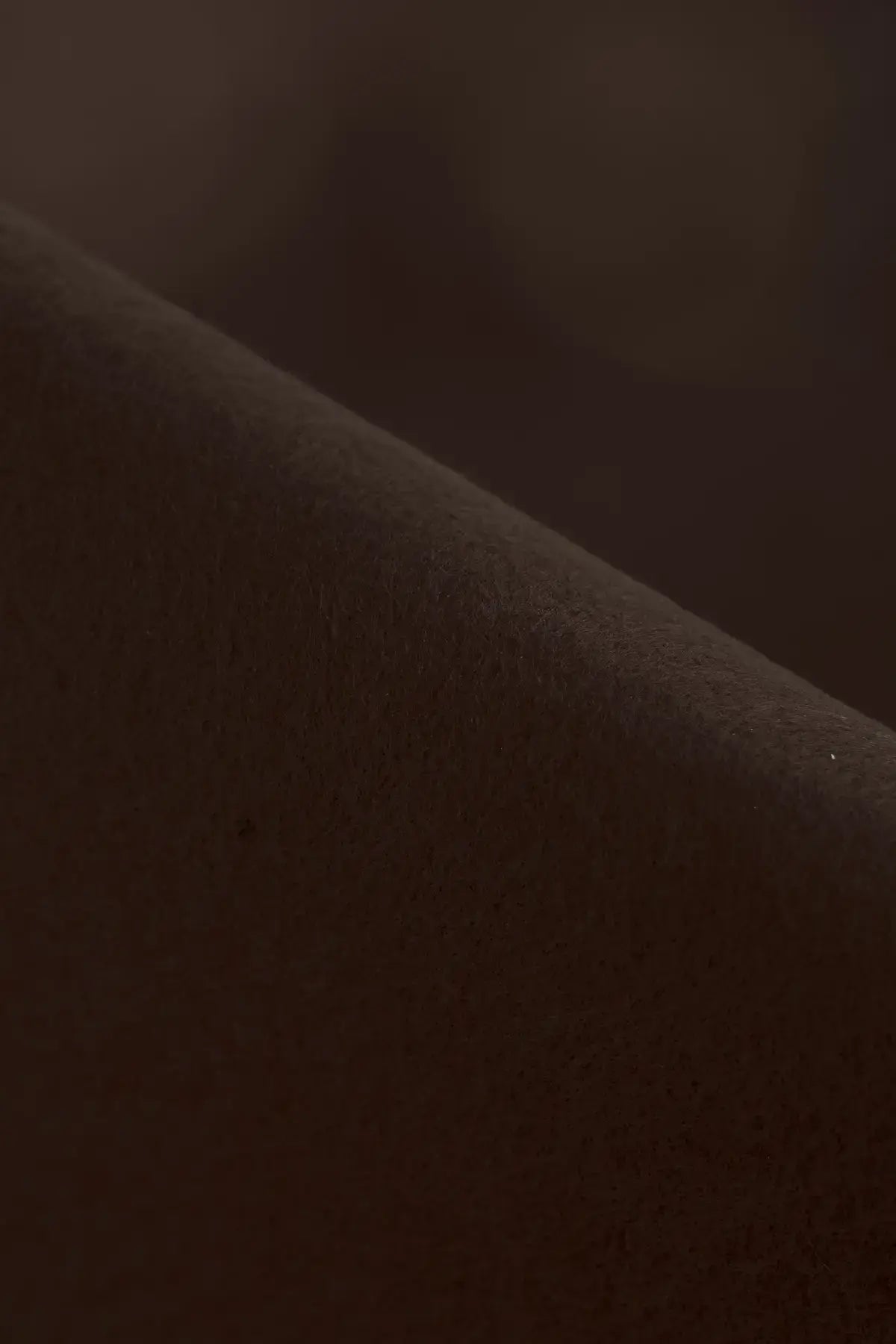 Fieltro splash coffee bean