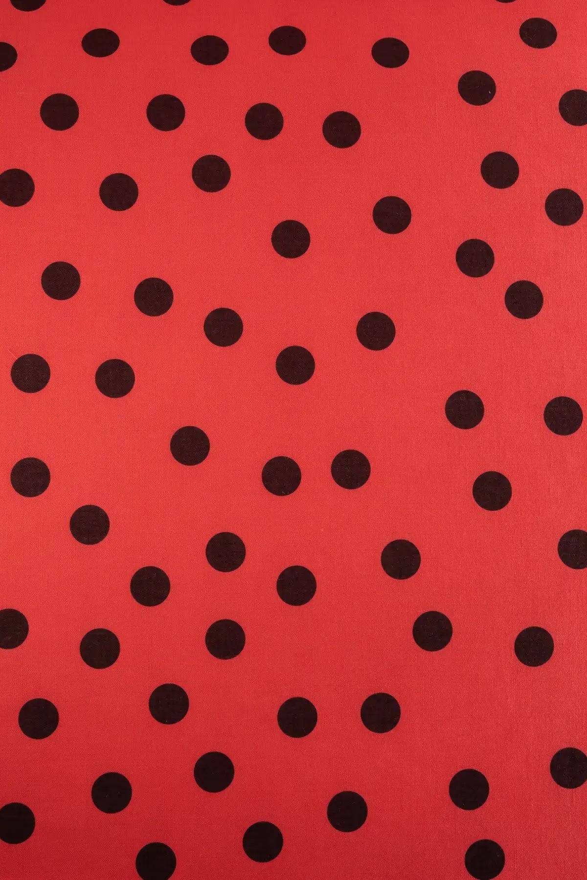 Polina remedios poppy red