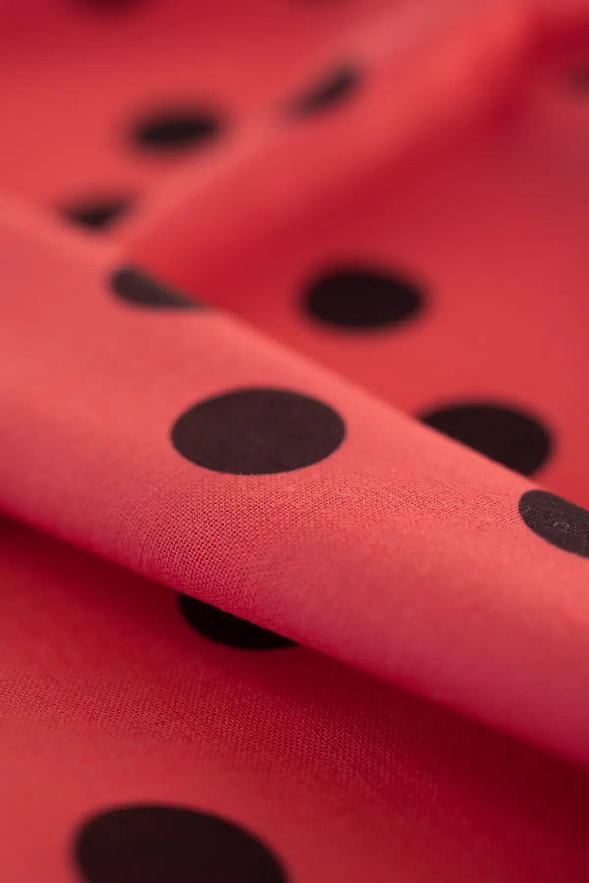 Polina remedios poppy red