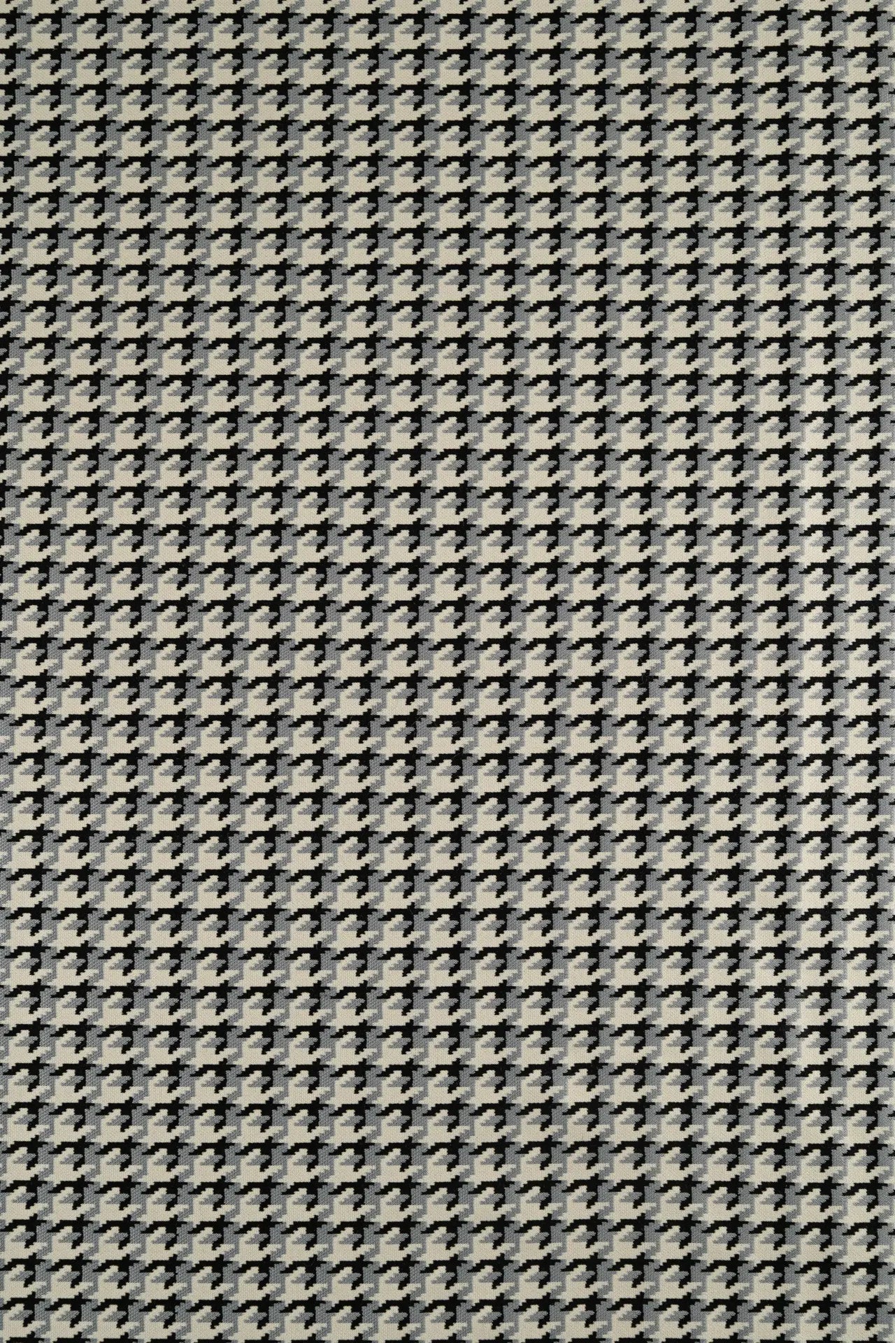 Punto pata de gallo gris
