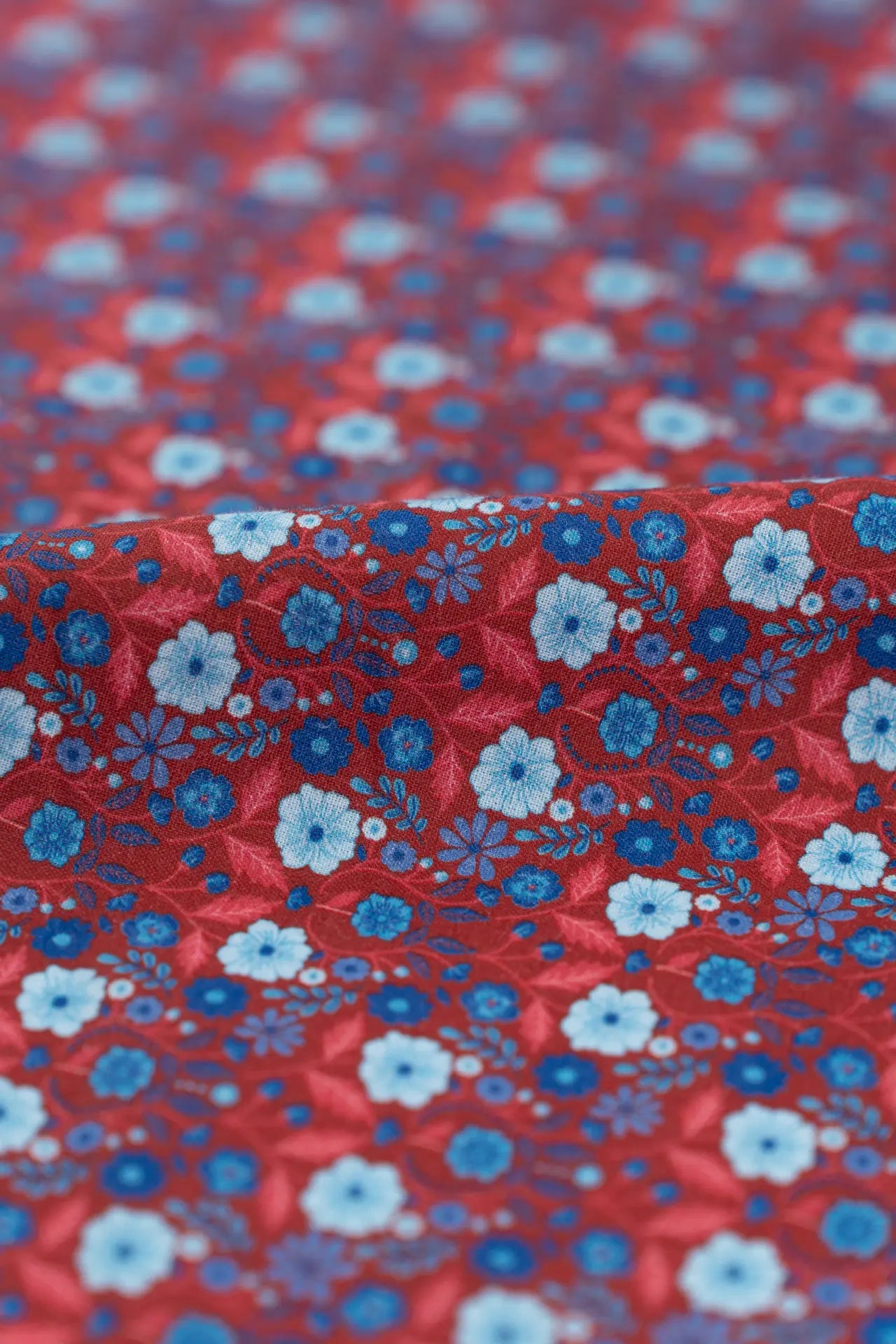 Popelín lebrija rojo