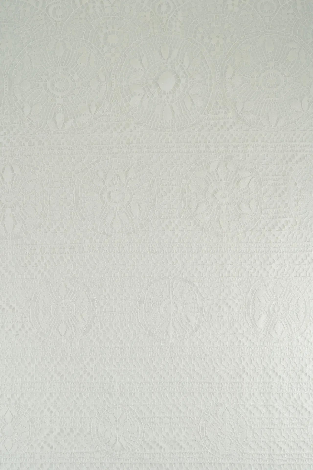 Encaje punto medallon blanco