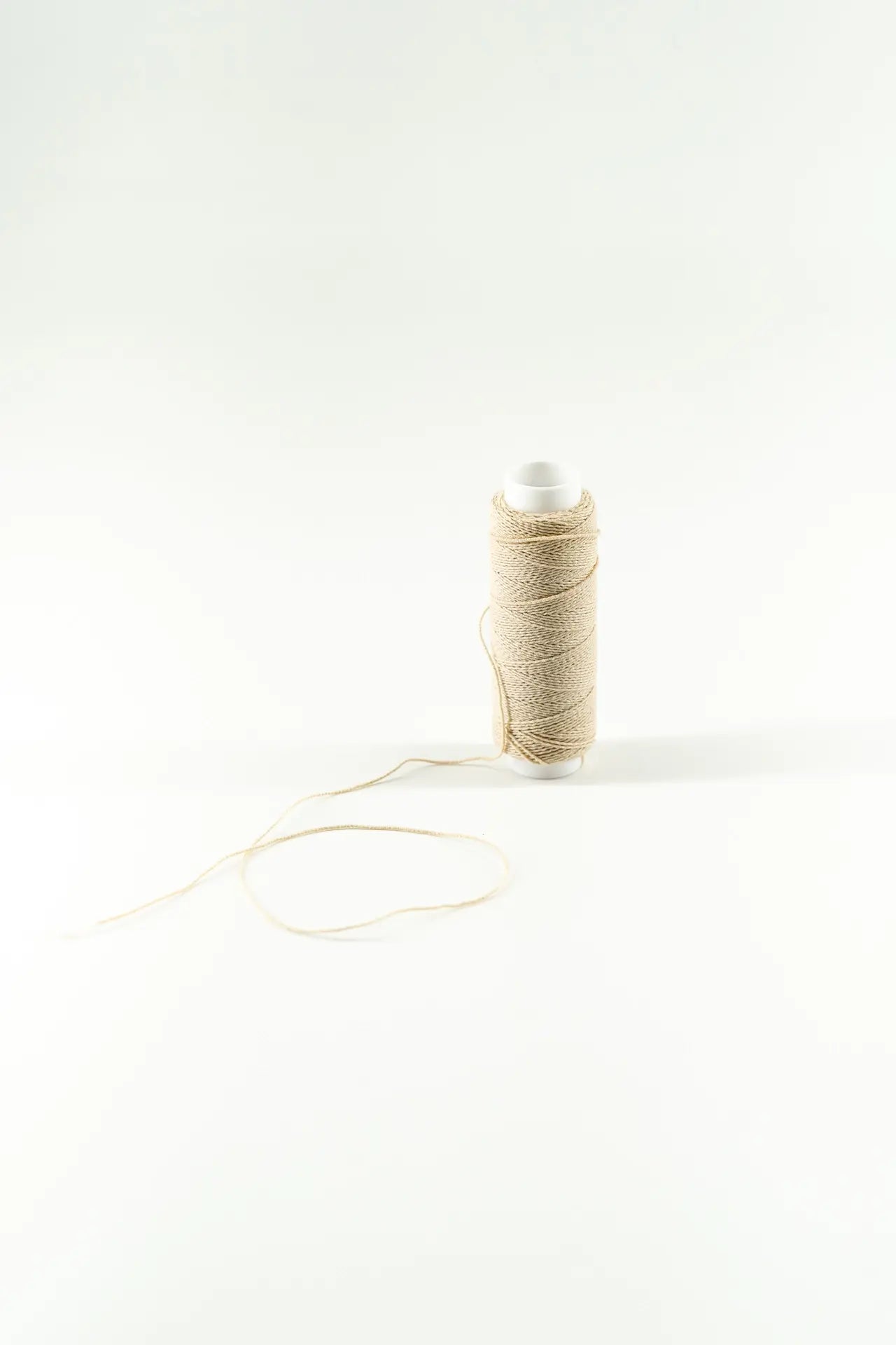 Cordón fino elástico beige