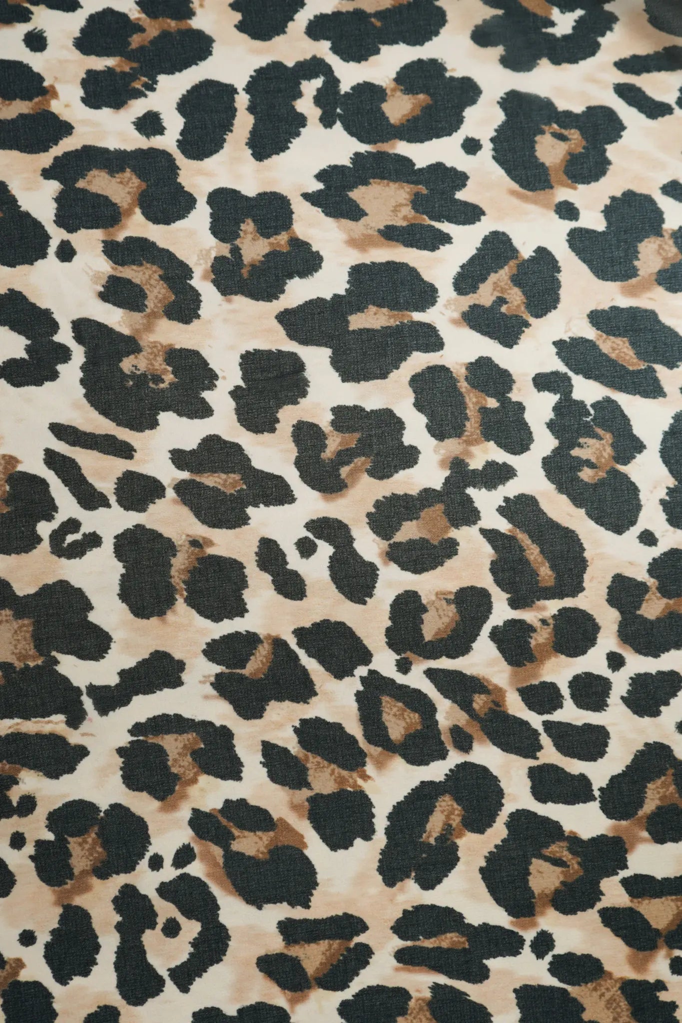 Gasa leopardo