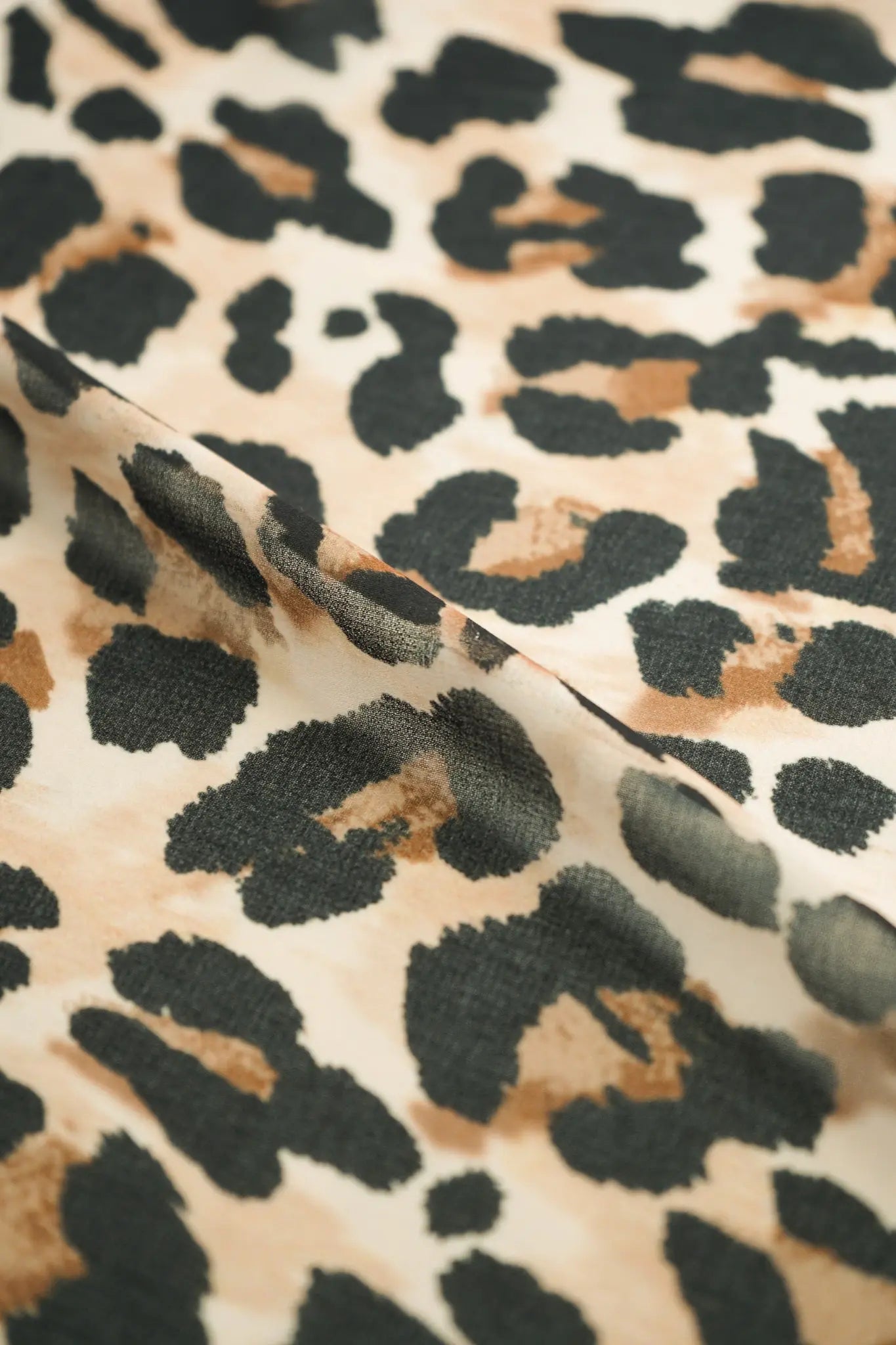 Gasa leopardo