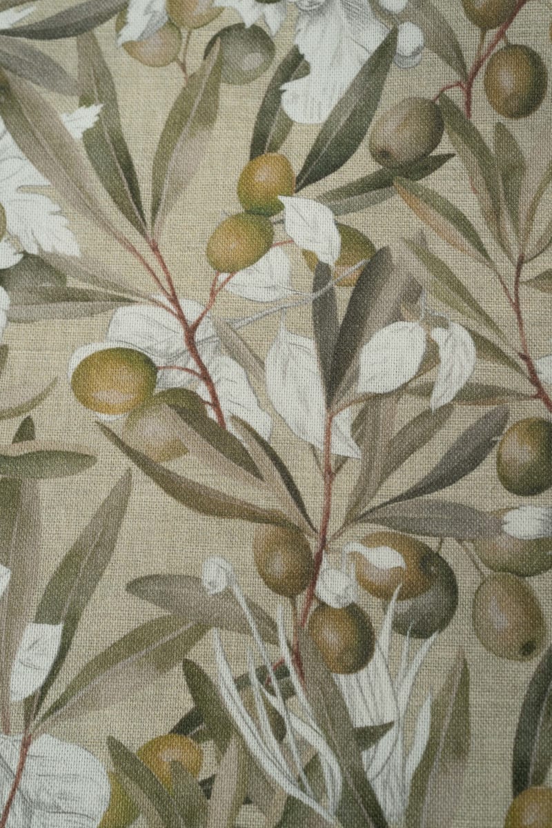 LONETA frutas aceitunas y flores tierra