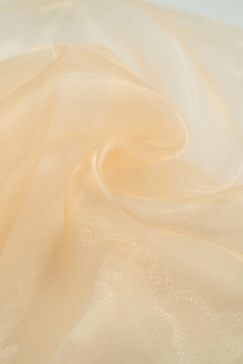 ORGANZA liso champán