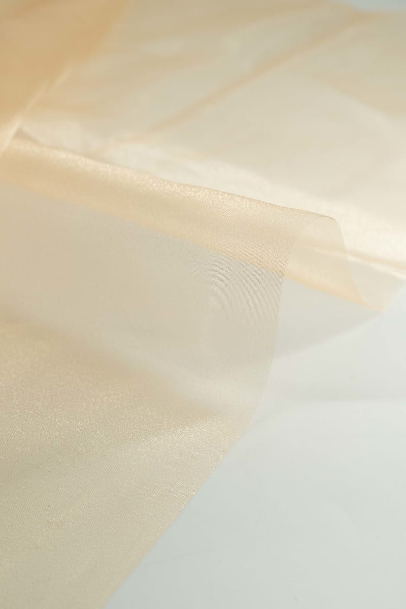 ORGANZA liso champán