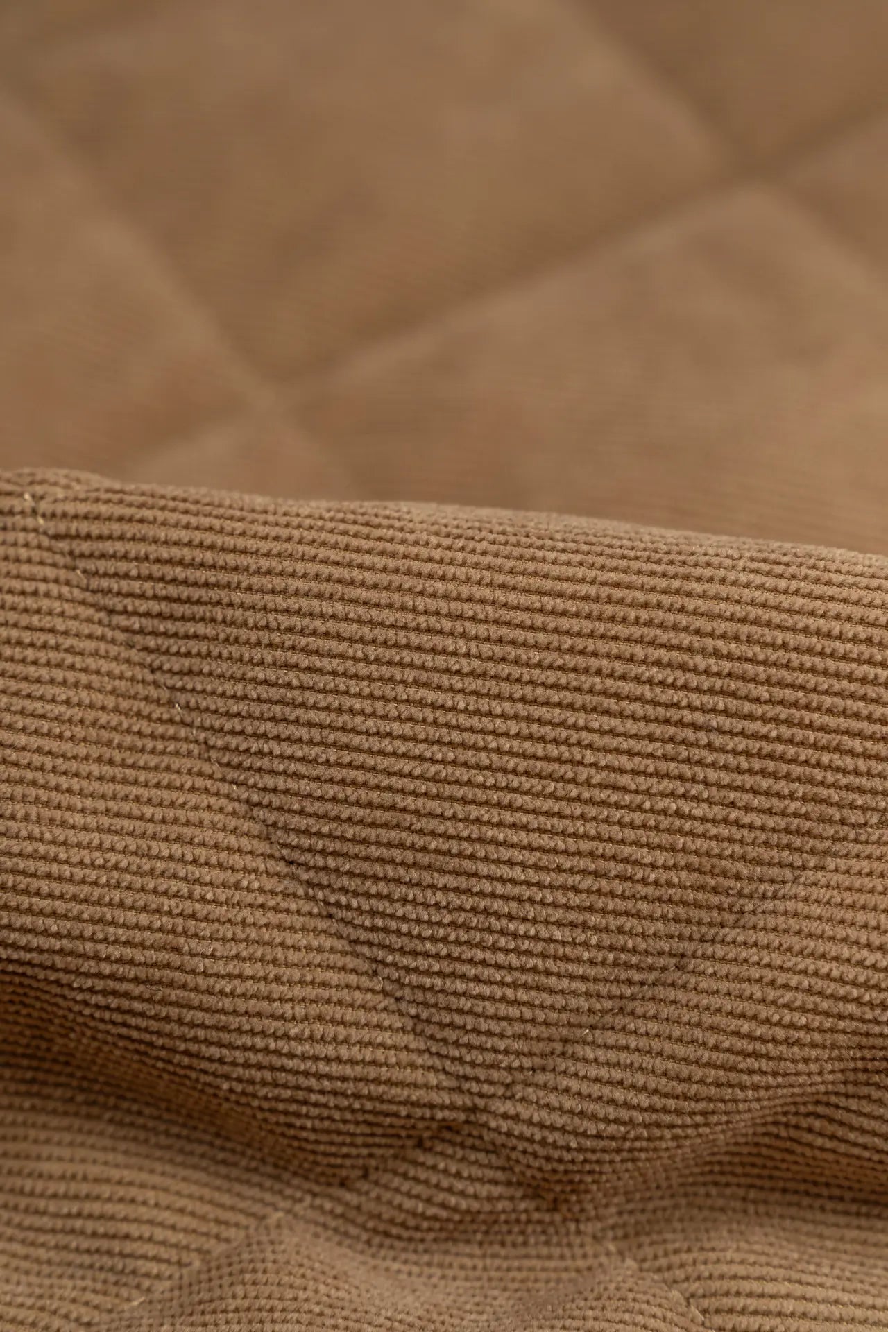 Padding camel