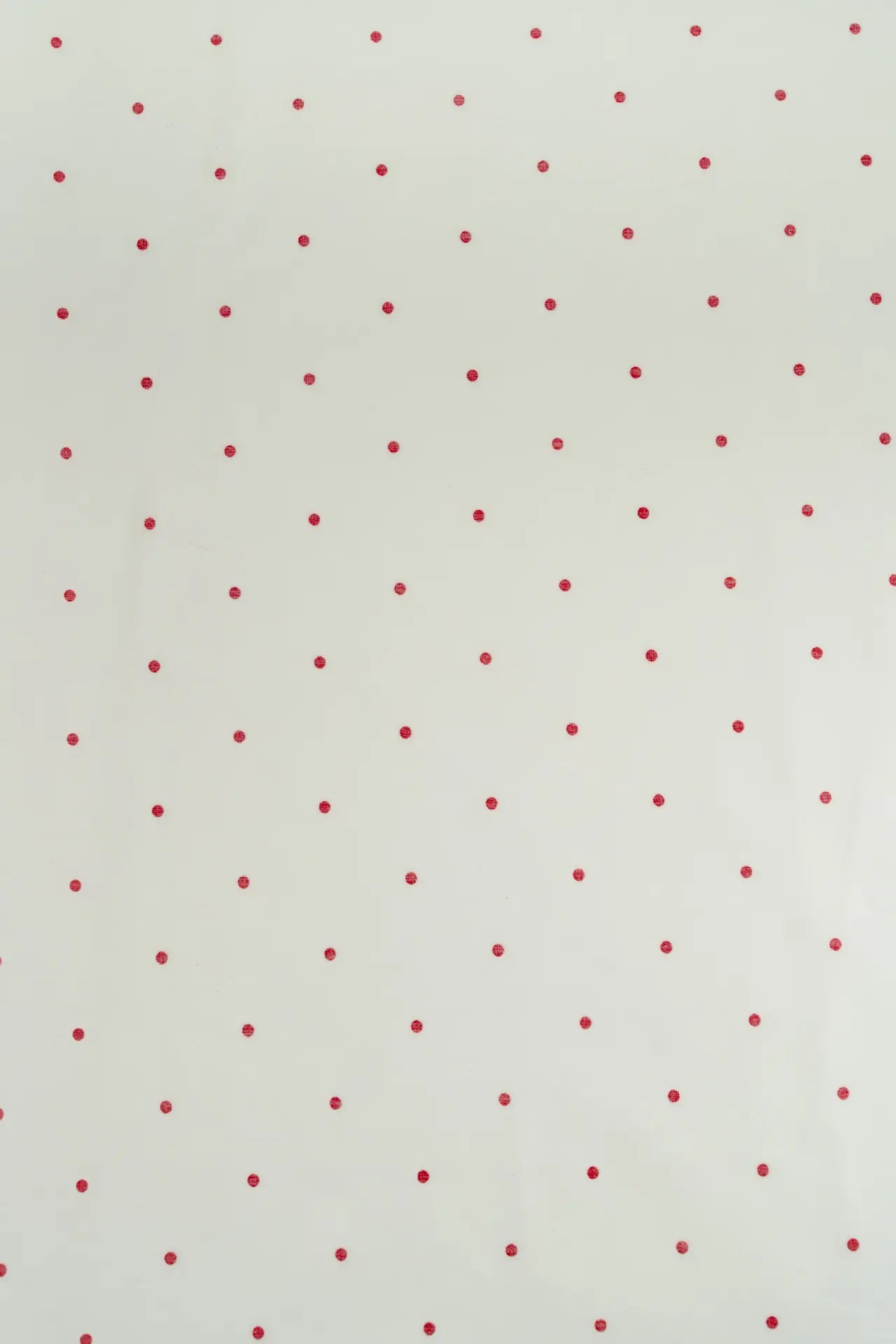 Popelin bright white