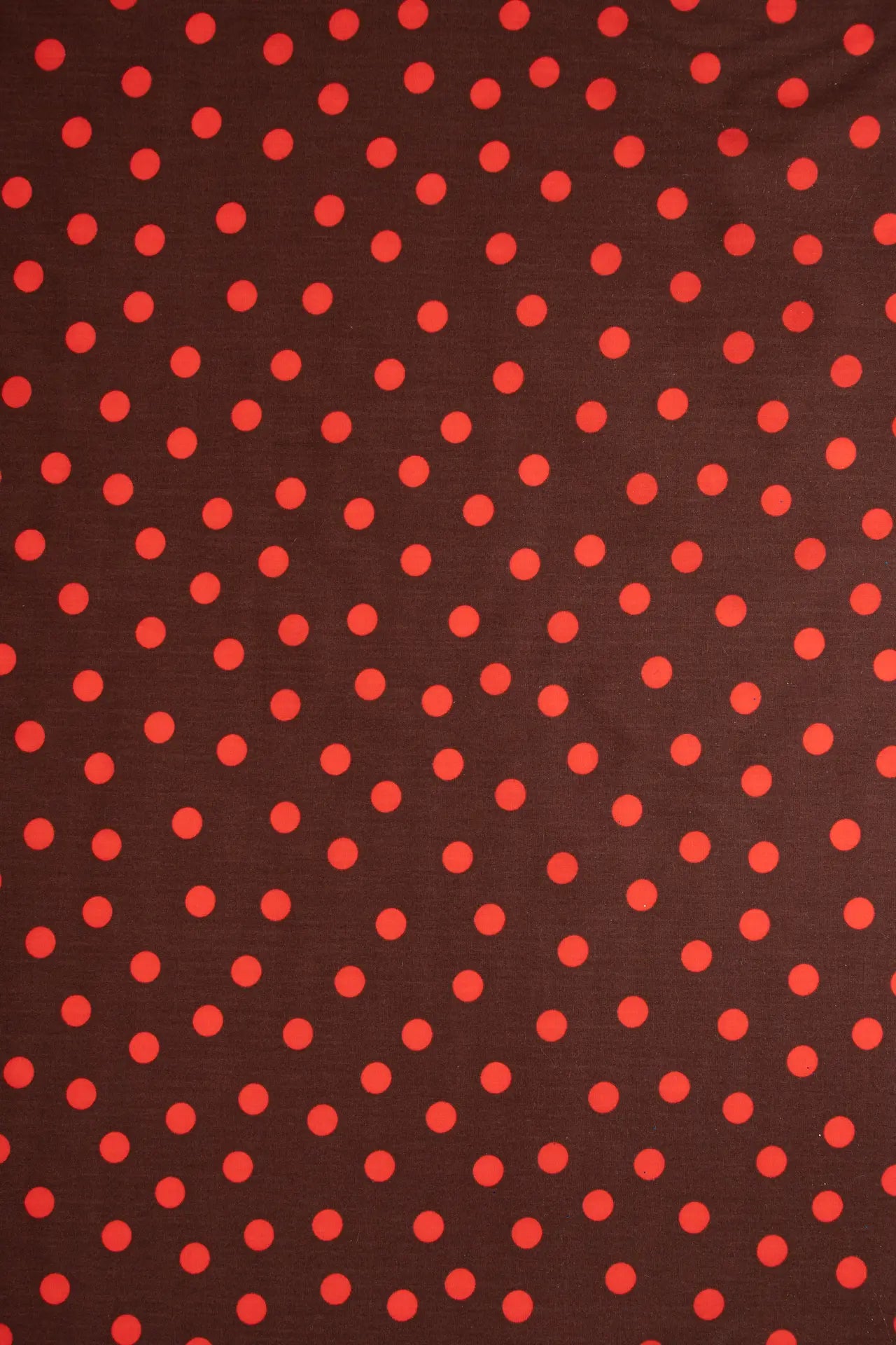 Popelin marron cordovan