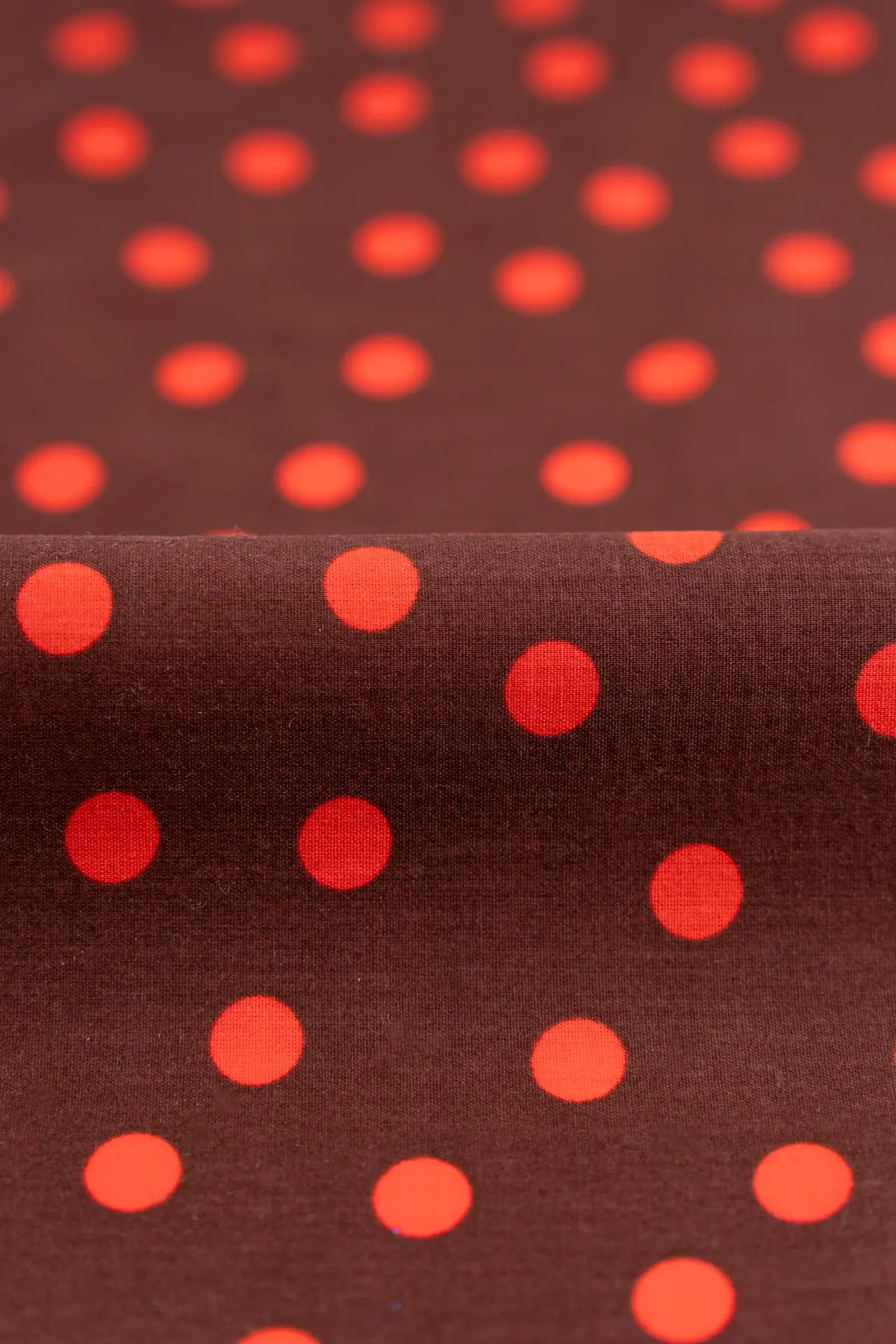 Popelin marron cordovan