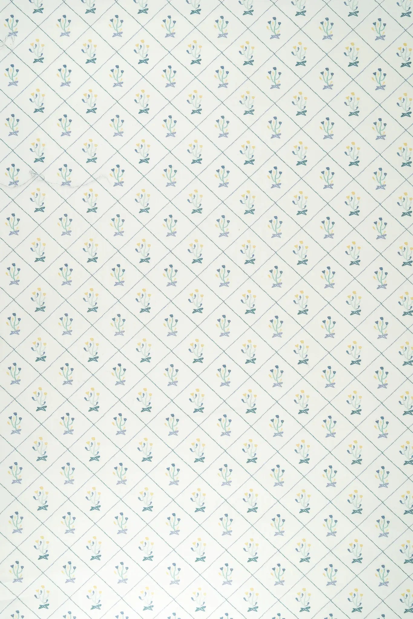 Popelin bacherol button