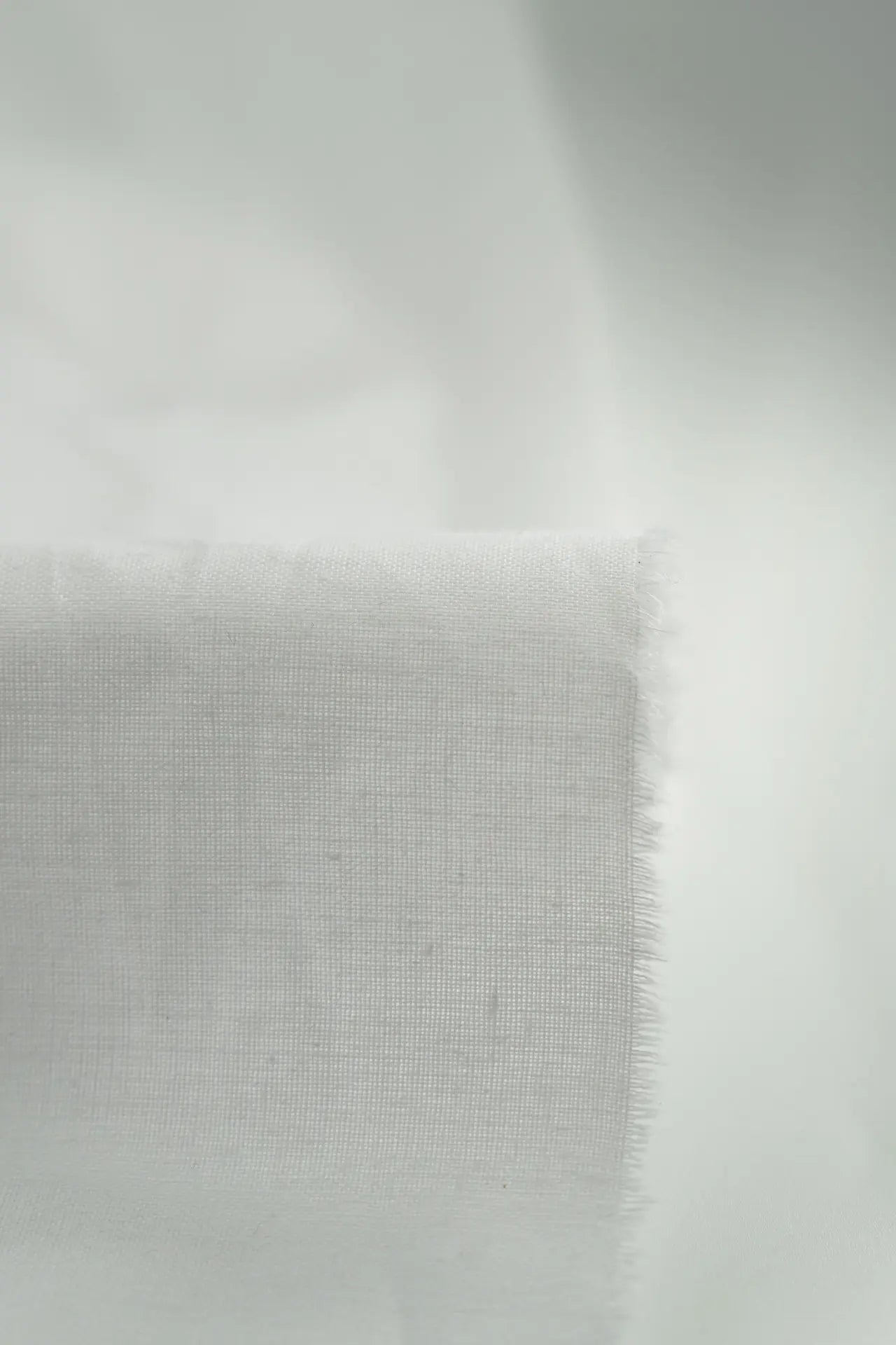 Popelin bright white