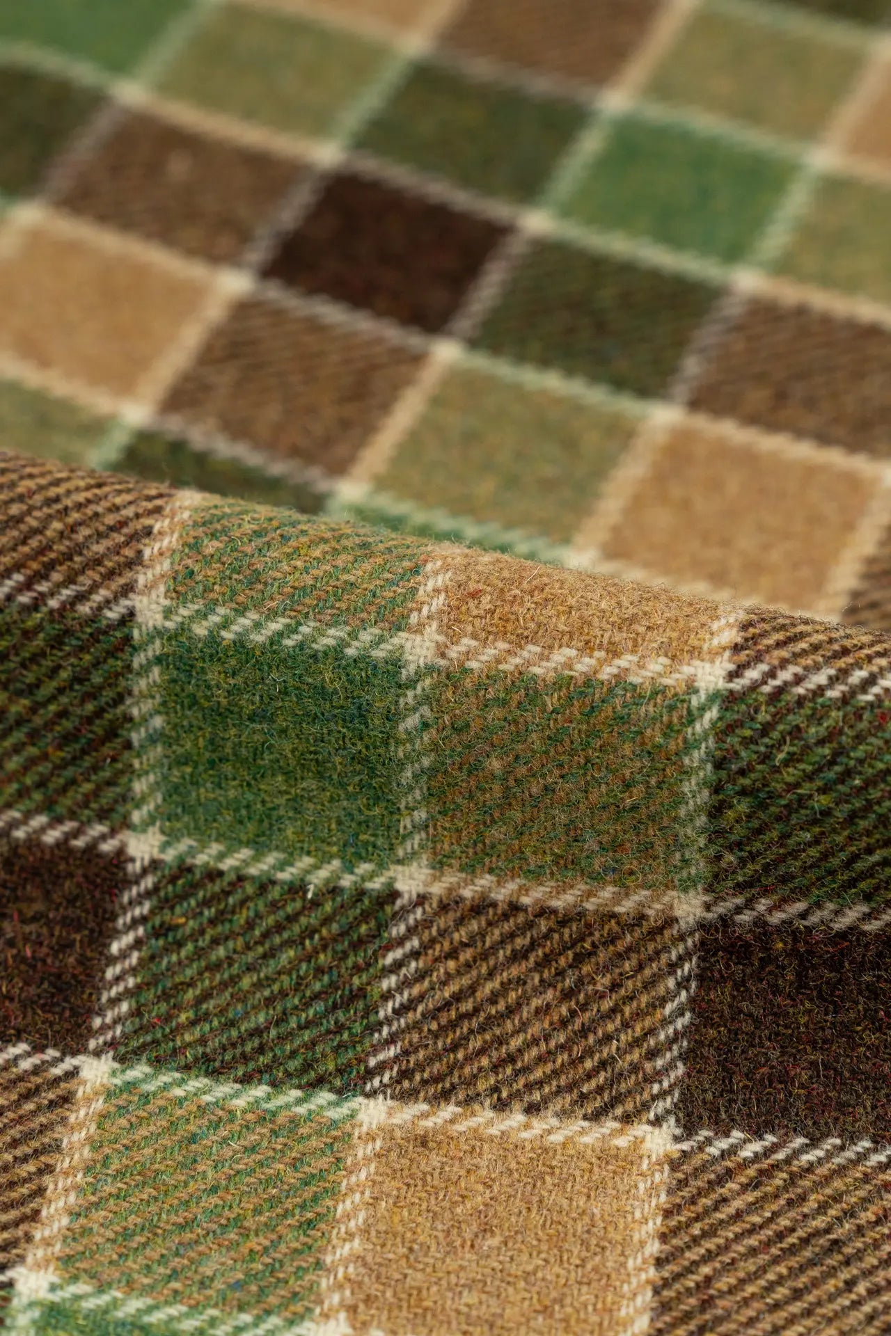 Tweed cactus