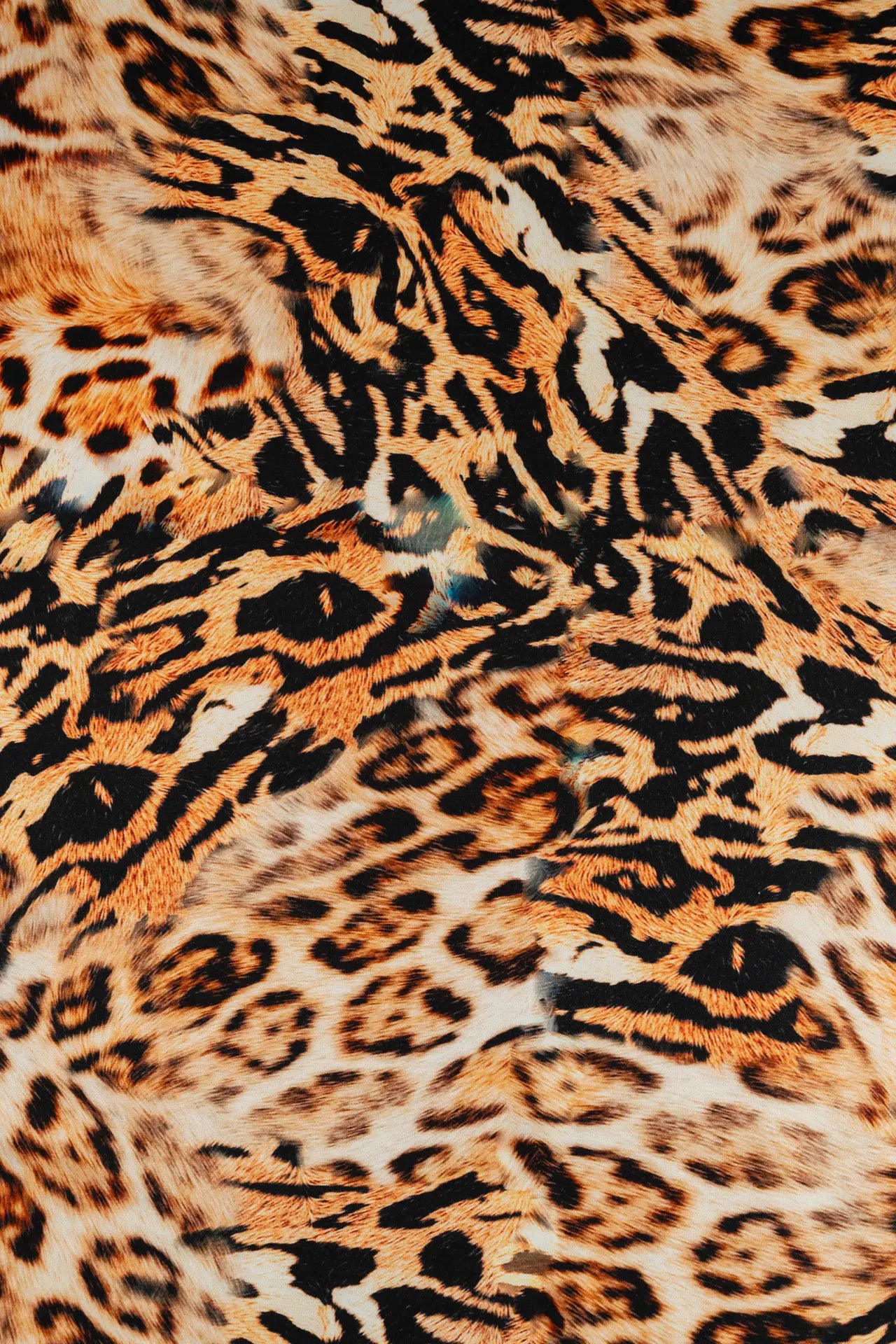 Viscosa leopardo