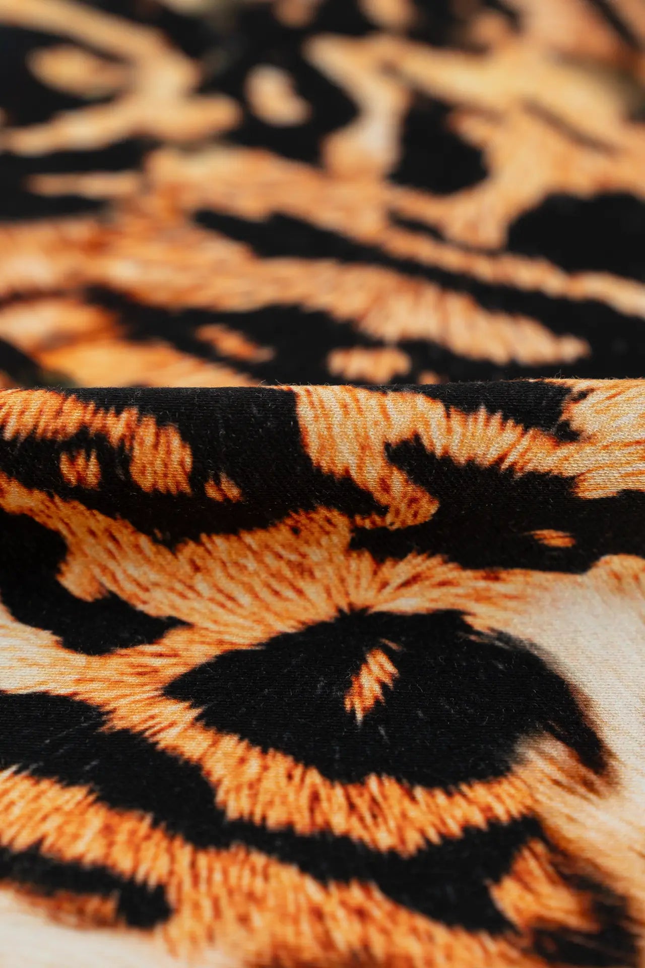 Viscosa leopardo