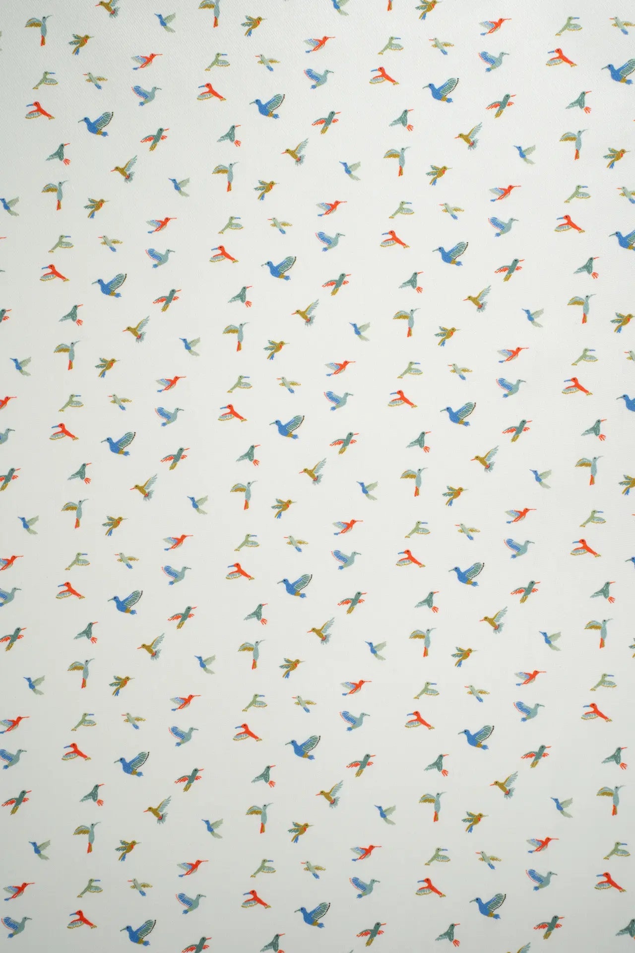 Villela infantil pájaros