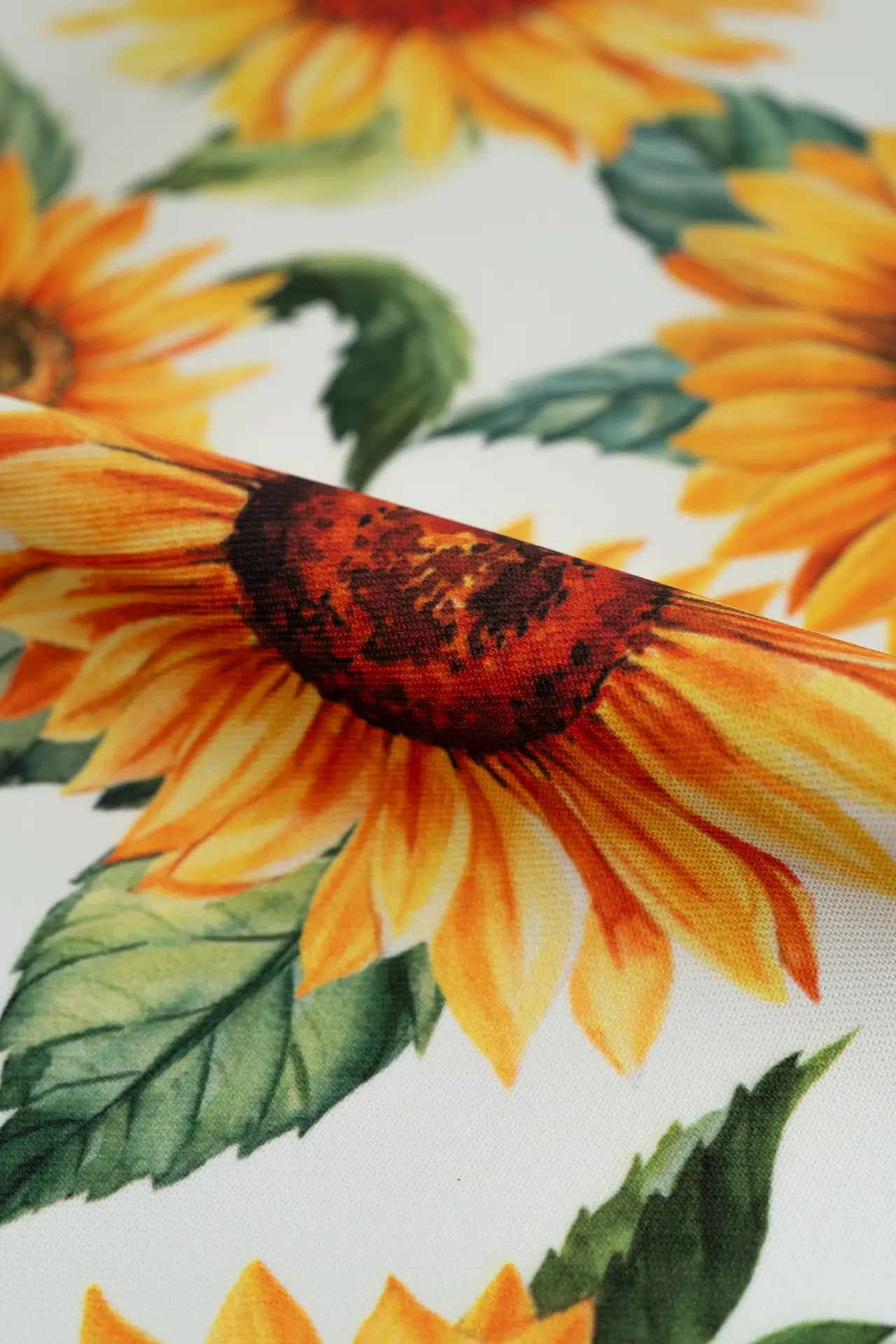 Resinado maize girasoles
