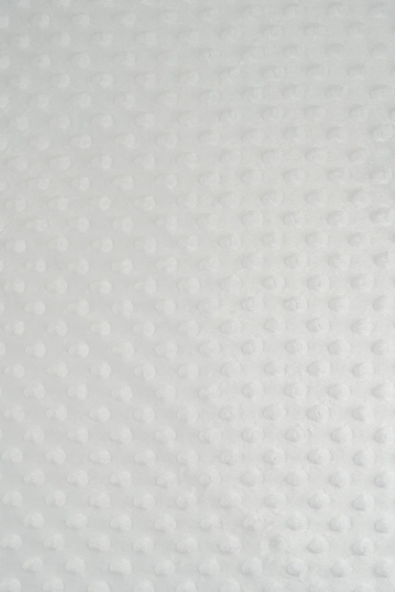 Minky blanc de blanc