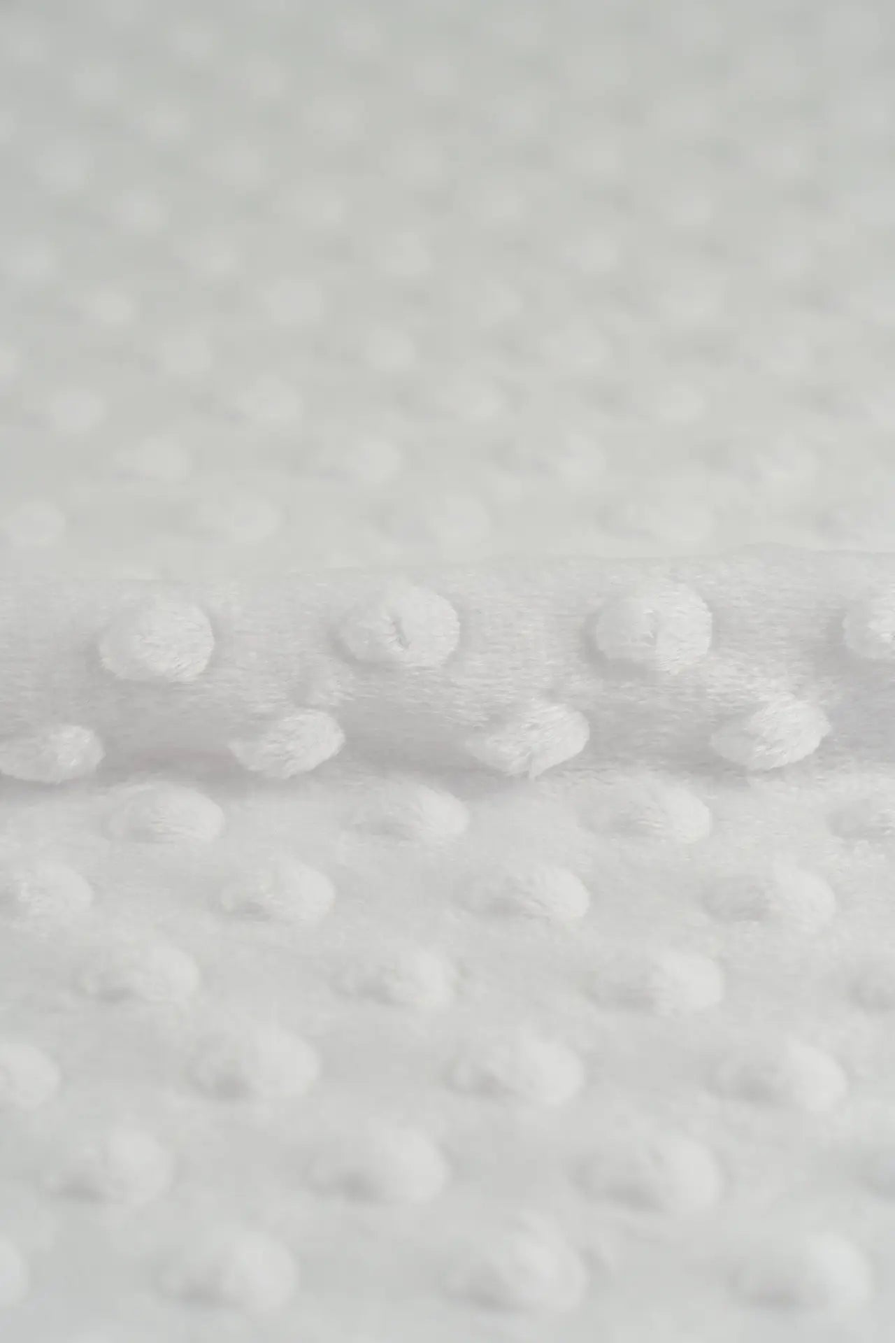 Minky blanc de blanc