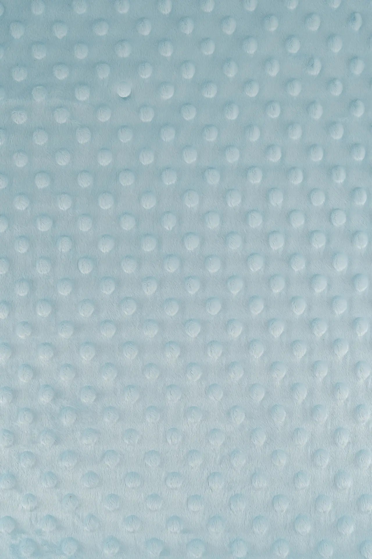 Minky bazul wan blue